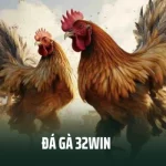 Đá Gà 32win - Đấu Trường Chọi Kê Đỉnh Chóp Năm 2025