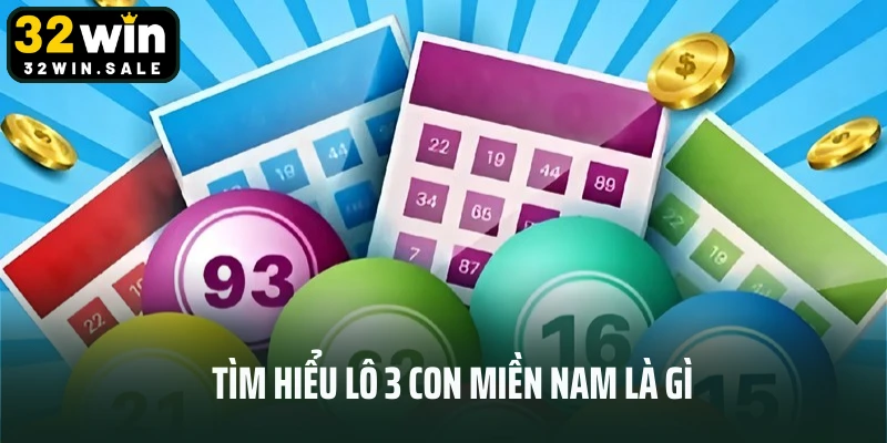 Tìm hiểu lô 3 con miền Nam là gì